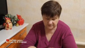 Это НАДО ВИДЕТЬ! Очень ЭФФЕКТИВНЫЙ способ ПОСЕВА СЕЛЬДЕРЕЯ.