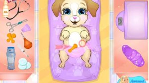 роды собаки!!!!!!! игра для детей 6+