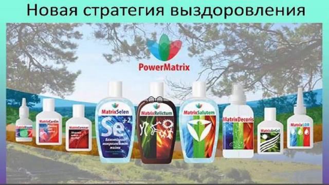 PowerMatrix Запись вебинара  Л В Засориной от 20 12 2016