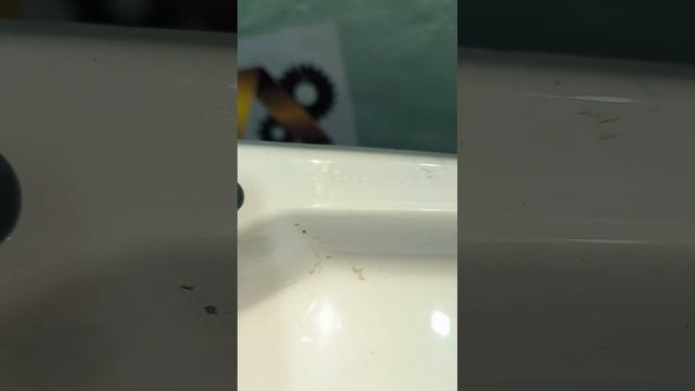 30737 Крыло переднее правое Ford Fiesta 2009- смотреть онлайн