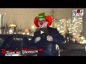 СтопХам - Цирк на Цветном