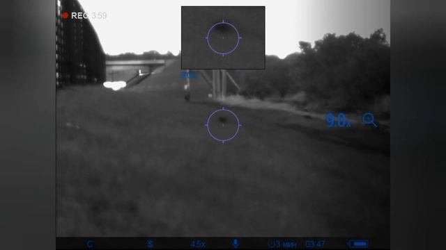 Цифровой прицел Pulsar Digisight Ultra N455 LRF, наблюдение за зайцем. смотреть онлайн