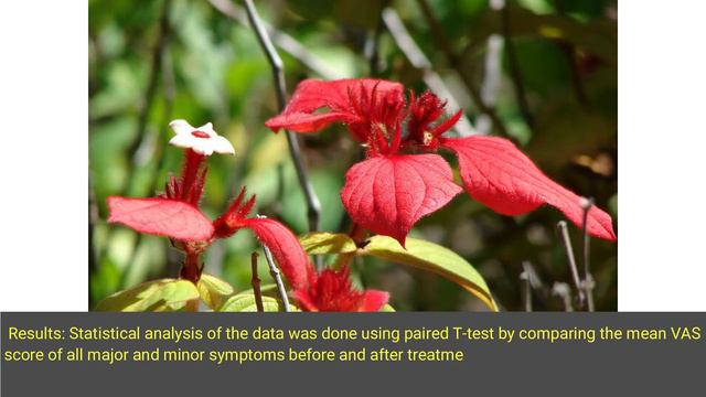 Evaluation of Hepatoprotective Activity of Mussaenda erythrophylla Lam. Stem Extracts against Carbo смотреть онлайн