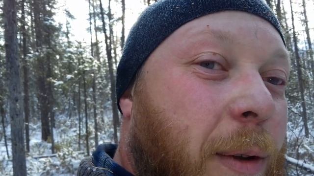 охота на Соболя с Лайкой смотреть онлайн