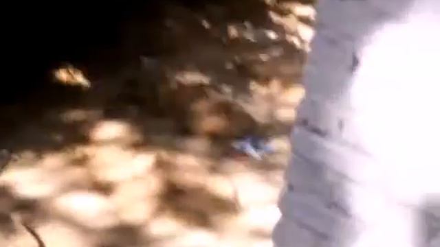 Горное эхо 2 часть смотреть онлайн