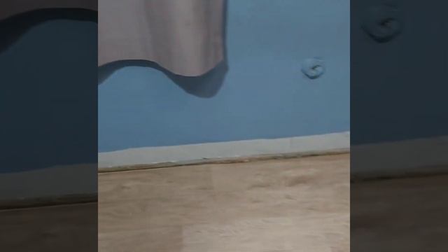 Cómo Pegar Piso Vinilo O Linóleo