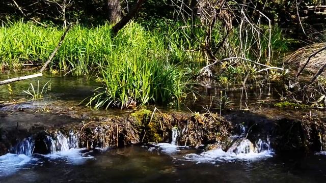 Успокаивающий звук ручья. Лесной ручей, Звуки природы. Шум воды. Горный ручей. Релакс. 4 часа. смотреть онлайн