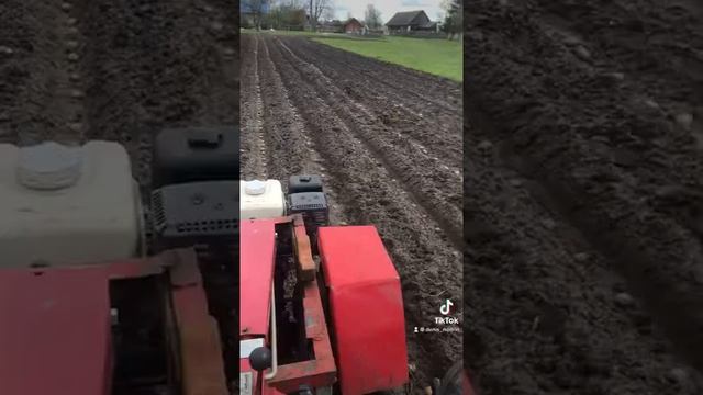 Посадка картофеля под мотоблок МТЗ смотреть онлайн