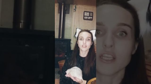 Мышонок и карандаш Владимир Сутеев аудиосказку читает педагог Бэби-Клуб Новоподрезково