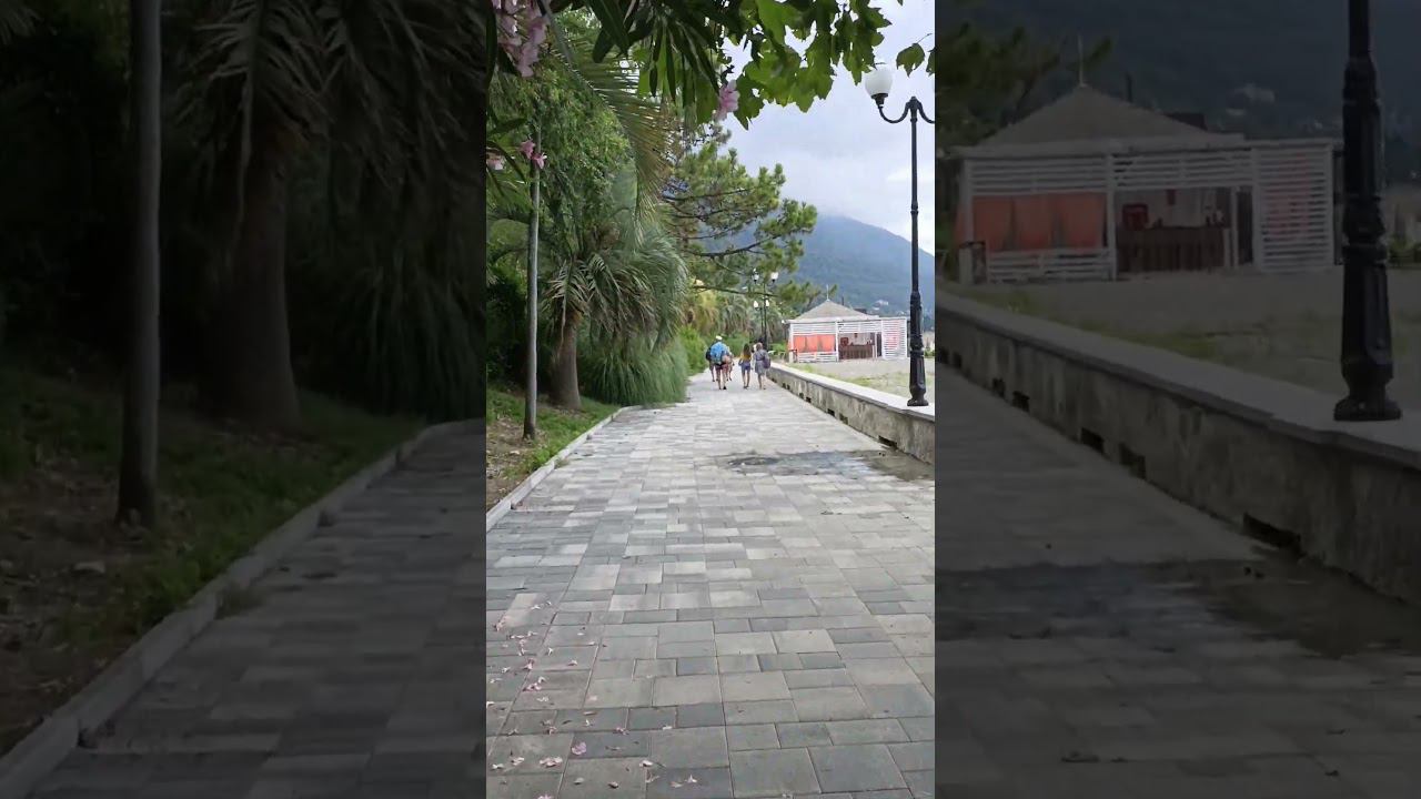 Куда бы вы поехали на зимовку? Вопрос к зрителям #путешествия #туризм смотреть онлайн
