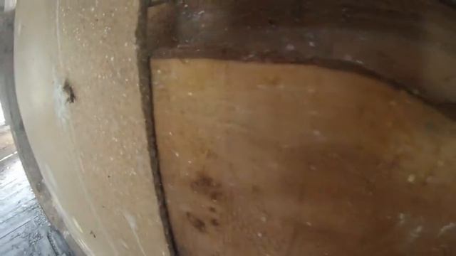 Пейнтбол в томске смотреть онлайн