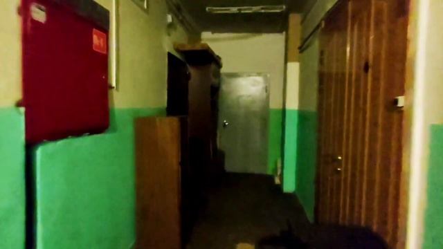 Комната в бывшем общежитии. Санкт-Петербург, ул. Новостроек д. 12 смотреть онлайн