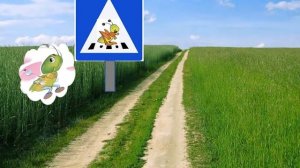 Минутка безопасности 1