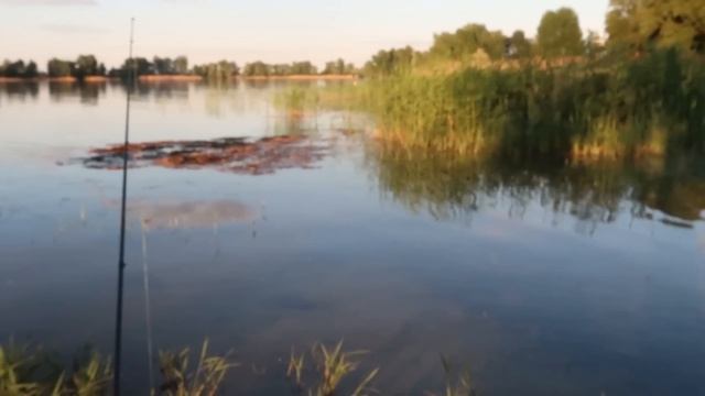 VLOG Целый день хандра. Прогулка вдвоём смотреть онлайн