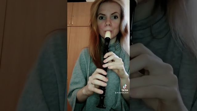 Из рекламы - Мистер Пропер - на блокфлейте смотреть онлайн