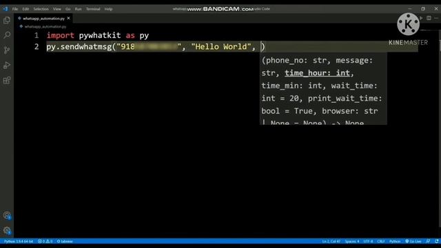 Automate WhatsApp with Python (Only 2 Lines of Code) смотреть онлайн