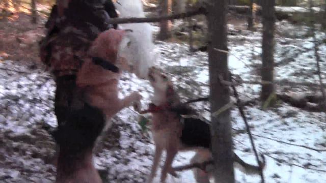 рг Раскат и Красавка выезд в крепкий минус 10. 11. 18 г. смотреть онлайн