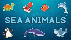 Морские животные на английском языке (Sea Animals in English)
