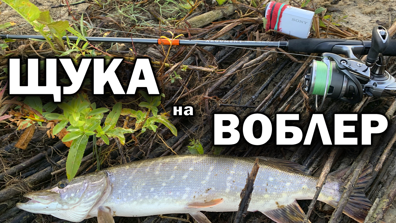 Рыбалка на ОКЕ с берега. Ловля ЩУКИ НА ВОБЛЕР смотреть онлайн