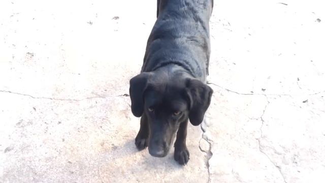 Весеннее настроение смотреть онлайн