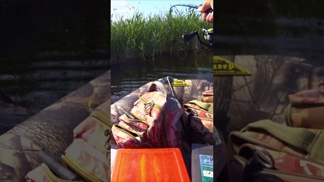 ЗЛЮЩЩАЯ ЛЕТНЯЯ ЩУКА! смотреть онлайн