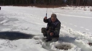 Анатолий (Ляги) Иванов.  Подледная рыбалка на реке Амга