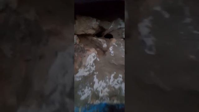 Куры не хотят нестись. смотреть онлайн