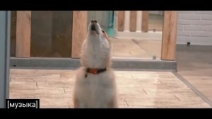 Я НЕ мелкий я Не дрыщ! и подпищиков сто  тыщ!