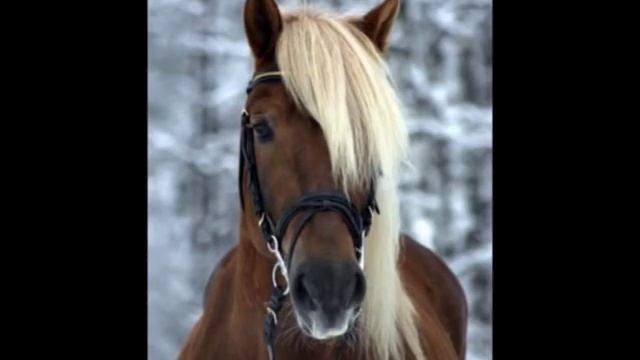 А я живу красивая как я хочу смотреть онлайн