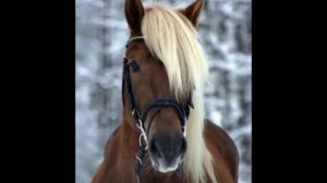 А я живу красивая как я хочу