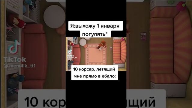 вышел на прогулку 1 января