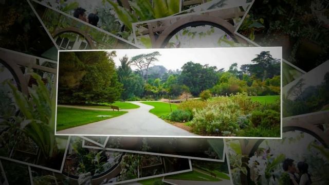 San Francisco Botanical Garden. California, USA (3) смотреть онлайн