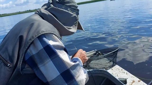 ДНІПРО,ловим мирну рибу,Алексеєвич проводе ритуал, цілує сомика і відпускає за мамой.Поможе??? смотреть онлайн