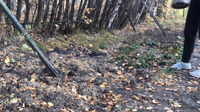 Готовим почву под цветник с осени смотреть онлайн