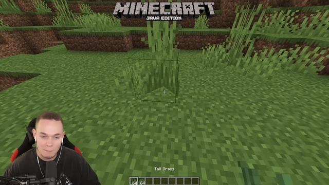 UNTERSCHIEDE zwischen MINECRAFT BEDROCK vs. MINECRAFT JAVA 1.19 ? смотреть онлайн
