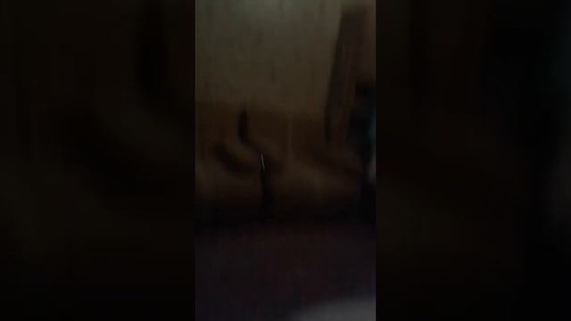 Залили как выглядит комната смотреть онлайн