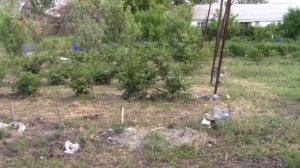 Капельный полив. Нужен ли редуктор понижающий давление воды?