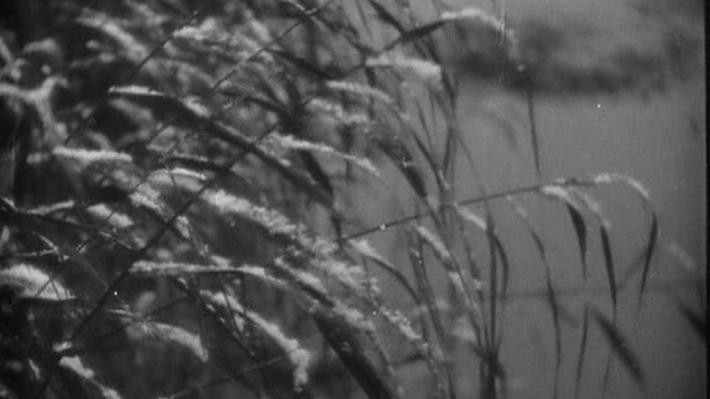 Brumes d'Automne - 1928 смотреть онлайн