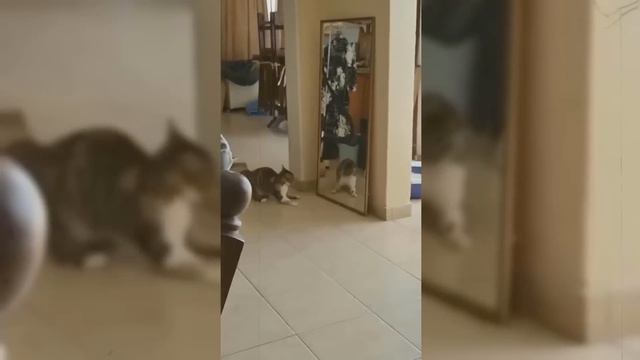 Такое Редко Увидишь! Случаи 1 на Миллиард Снятые на Камеру смотреть онлайн