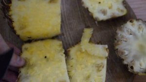 Выращиваем ананас из семян. Ананас из семян с плода