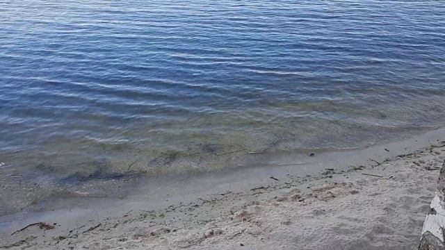 Одесса 5 минут назад. ПЛЯЖА ПОЧТИ НЕ ОСТАЛОСЬ. ЧТО ПРОИСХОДИТ С МОРЕМ!? смотреть онлайн