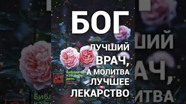 Спокойной ночи,  дорогие!