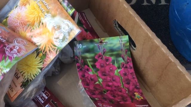 Готовлю много вкусняшек ?подарки от канала Мария Евдокимова???урожай в теплице?сезон клубники?