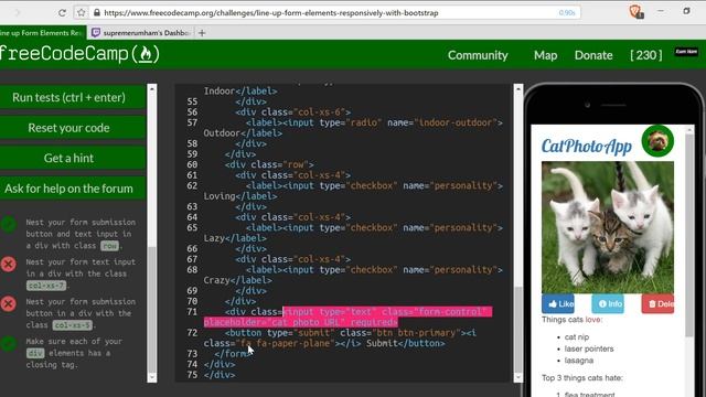 Line up Form Elements Responsively with Bootstrap- freeCodeCamp Bootstrap lesson #18 смотреть онлайн