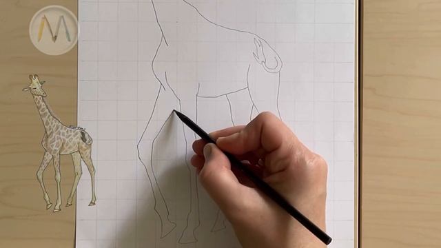 Как нарисовать Жирафа / Giraffe drawing смотреть онлайн