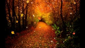 Что такое листопад?