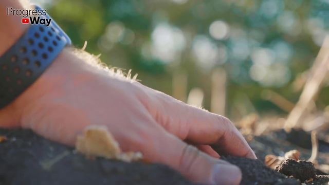 1 ложку на ведро воды и земля как новая! Пролейте этим землю Осенью для обильного урожая всего! смотреть онлайн