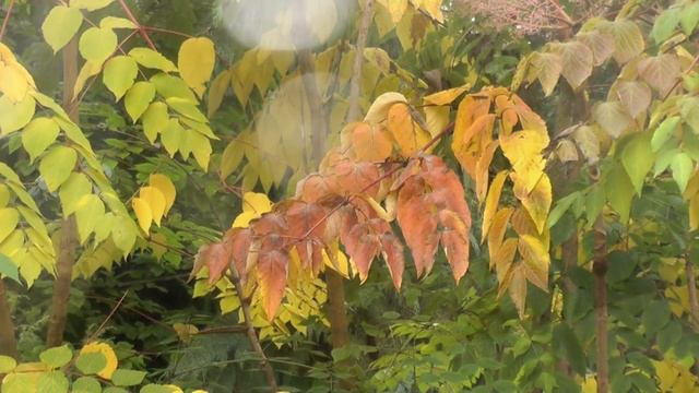 МАТЬ потеряла СЫНА, а спустя время, за стеной услышала до БОЛИ ЗНАКОМЫЙ ПЛАЧ смотреть онлайн