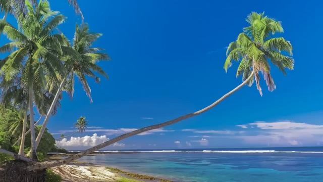 Трейлер "ВЛЮБЛЕННОСТЬ В МЭННИ" (2023) Элизабет Харнуа, Тайлер Джонсон, Романтик смотреть онлайн