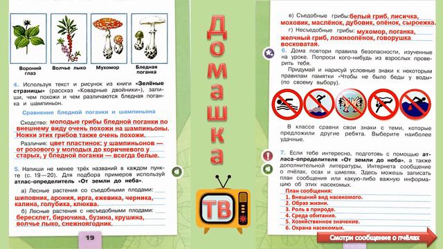 На воде и в лесу страницы 17-20 - Окружающий мир (рабочая тетрадь) - 2 класс 2 часть смотреть онлайн